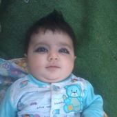 dasi