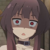 sinonlcd