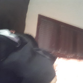 Pedrito