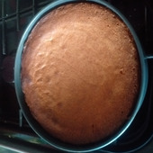 Norbit71234