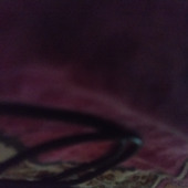 Harry1122
