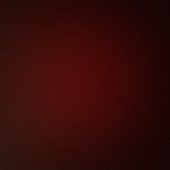 Shivani