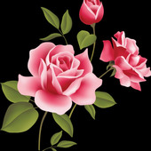 Dk bhoye
