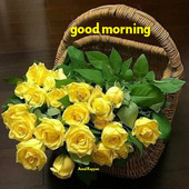 Shubh