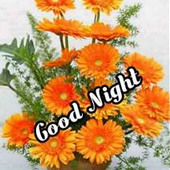 Sathishcit