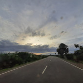 Umbi