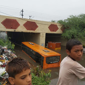 Bijay