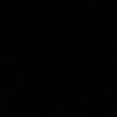 sex