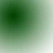 shalanirx