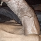 nutted15