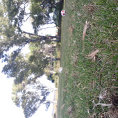 Plajjj