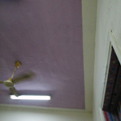 Javed