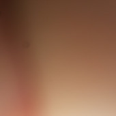 Anmim