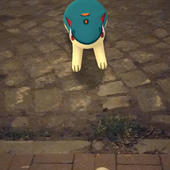 Sniff95