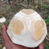 Mafiya