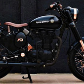 Pussyvideo