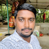Suryapin2