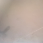 Sternk