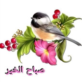 Nader