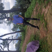 Sujan