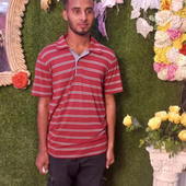 Zahed