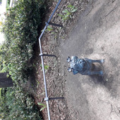 uwebuddha