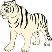 Janiii