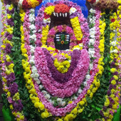 Ningappa422