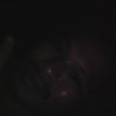 wendel