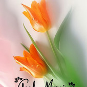 Satish kummar