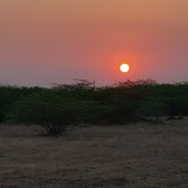 surojit