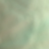 Bdytjtcshr