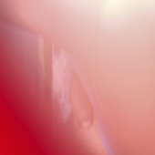 Ggggsex