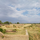 Riya jaan