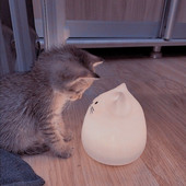 Dream Cat