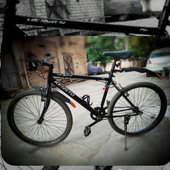 Samin