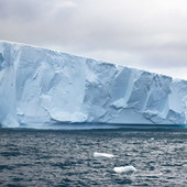 rosstass