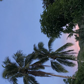 JamesBalatayo