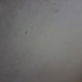 Usef