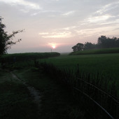 Prem Kumar
