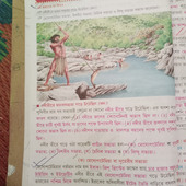 Robin98