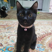 BTSSUGA93