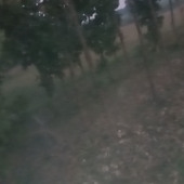 Shivam22