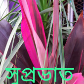 Anuppapaianup