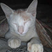 Takuto