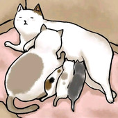 MAYALU