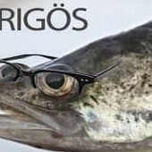 trattisen