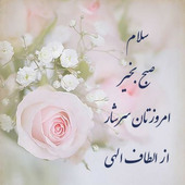 Mohammadm14