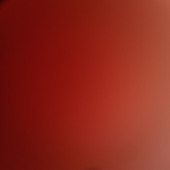 raj__maurya6000001