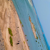 Rajalina
